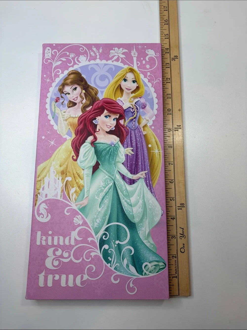 Disney Princess Belle Ariel Rapunzel Wall Canvas – Kind & True